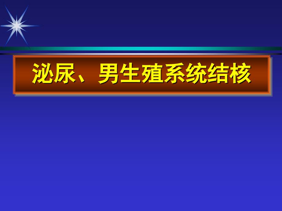 泌尿生殖系统结核课件_第1页