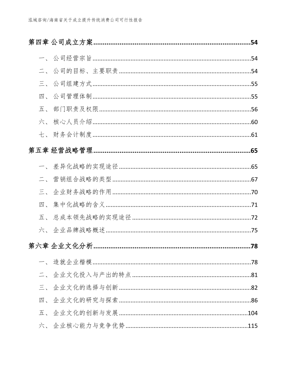 海南省关于成立提升传统消费公司可行性报告模板参考_第3页