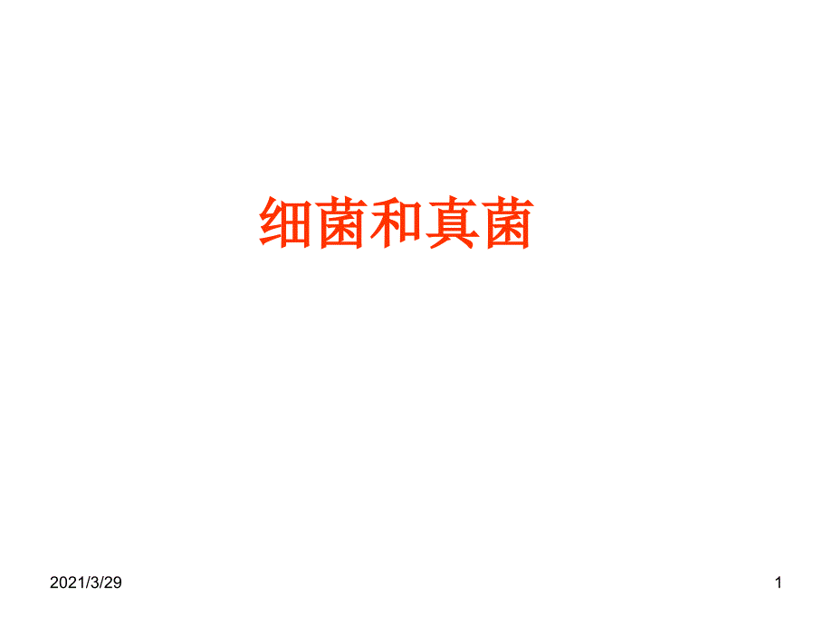 细菌和真菌.PPT_第1页