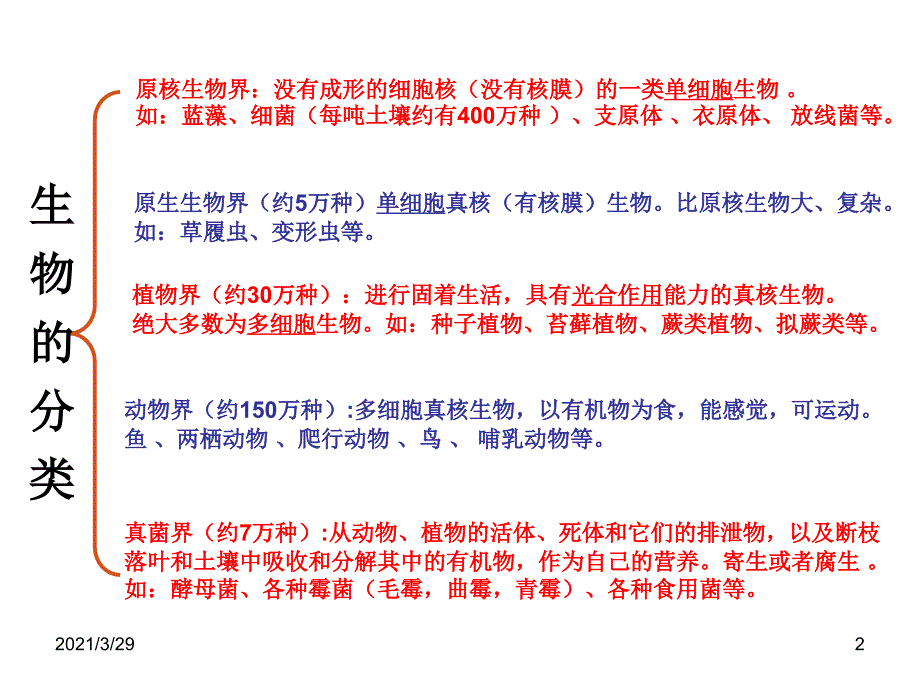 细菌和真菌.PPT_第2页