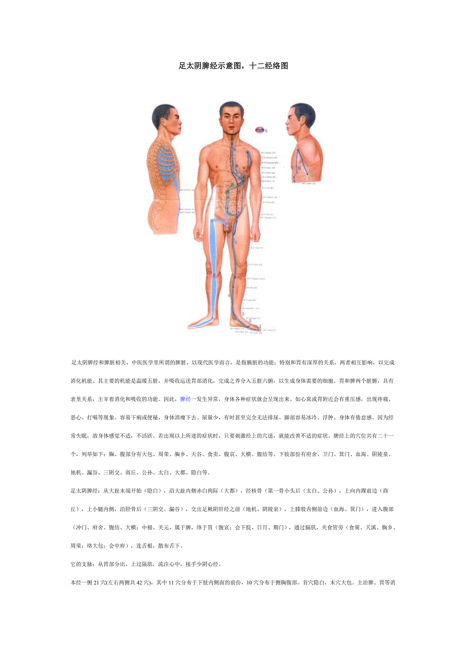 足太阴脾经示意图十二经络图.doc_第1页