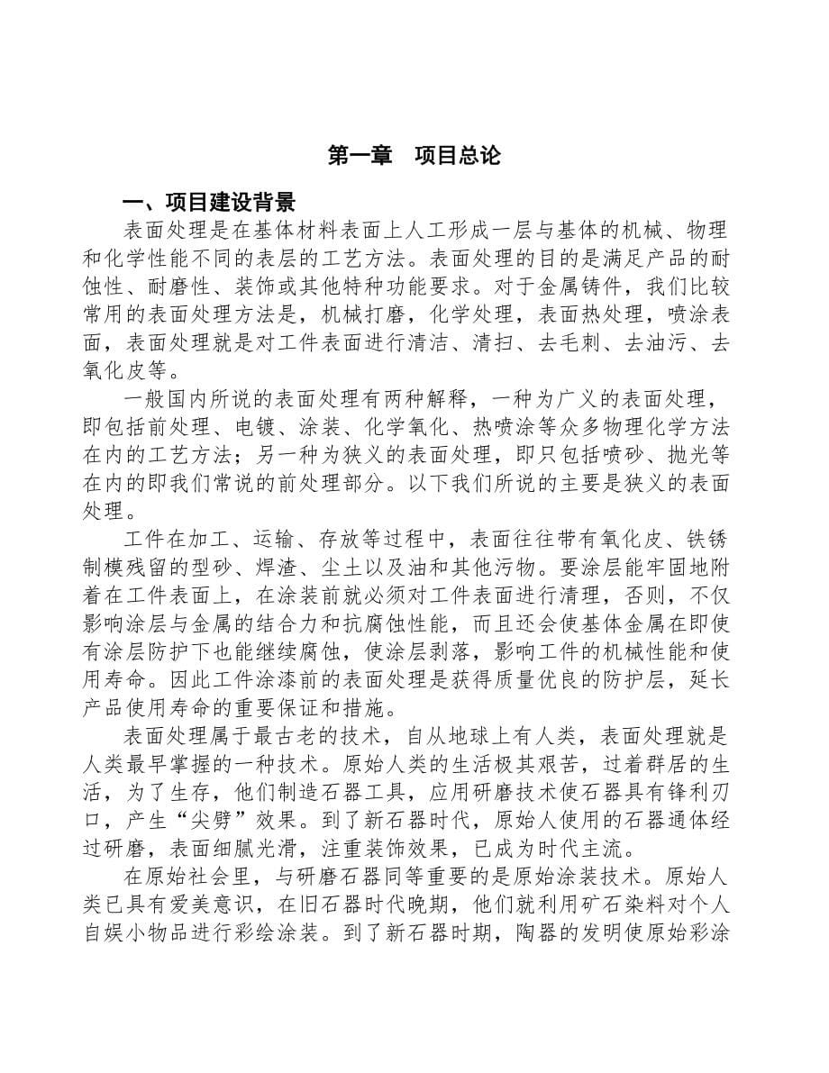 扬州表面处理设备项目可行性研究报告(DOC 95页)_第5页