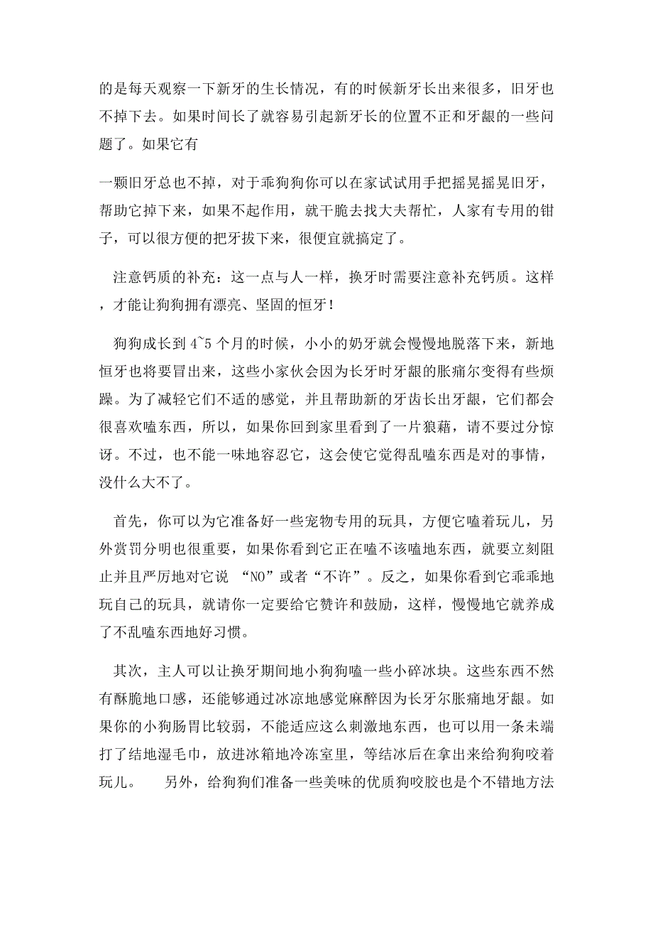 狗换牙的过程和注意事项_第3页