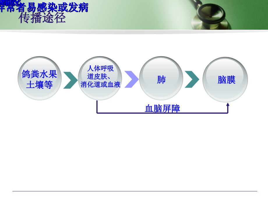 隐球菌脑膜炎护理查房_第4页