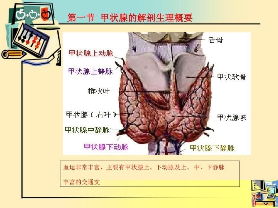 甲状腺围手术期的护理.ppt_第5页