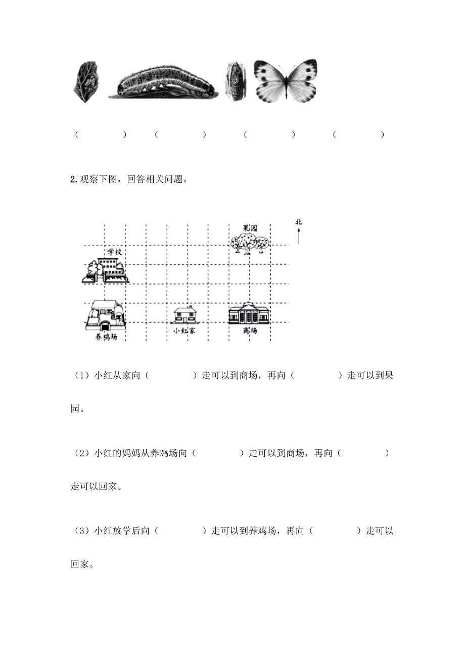 教科版三年级下册科学期末测试卷带答案【最新】.docx_第5页