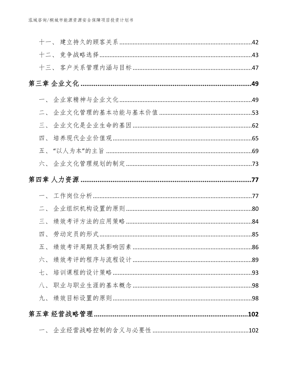 桐城市能源资源安全保障项目投资计划书【范文】_第2页