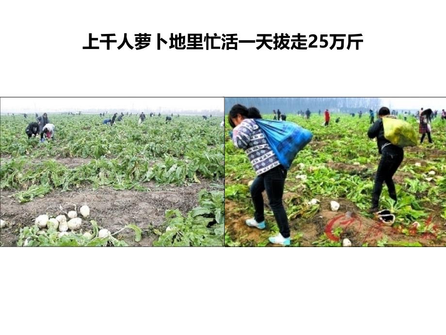 年末岁尾小结你我可能没有在意的那些法律节_第4页