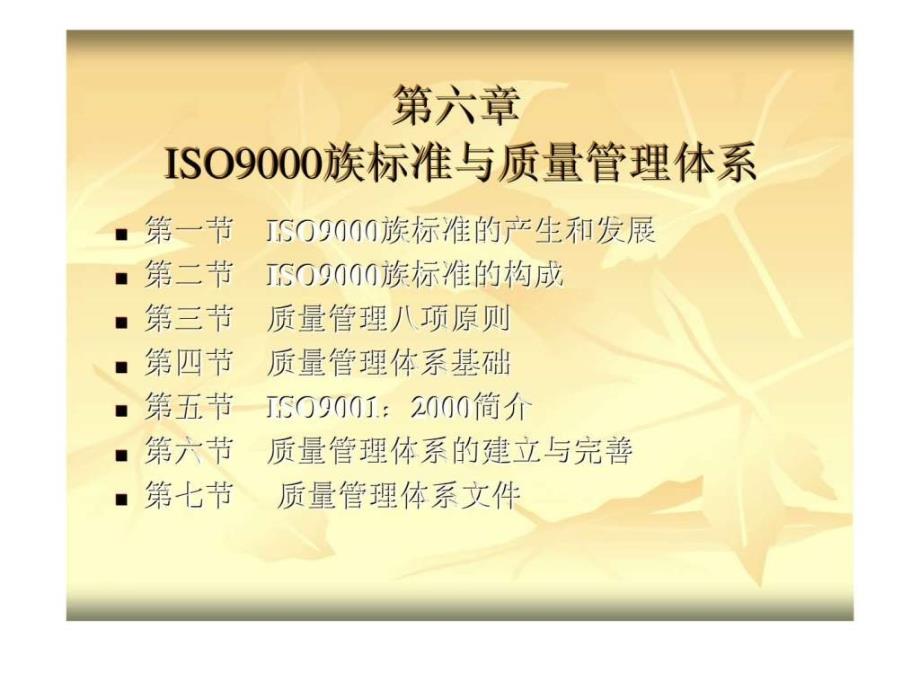 第六章iso9000族标准与质量管理体系_第1页