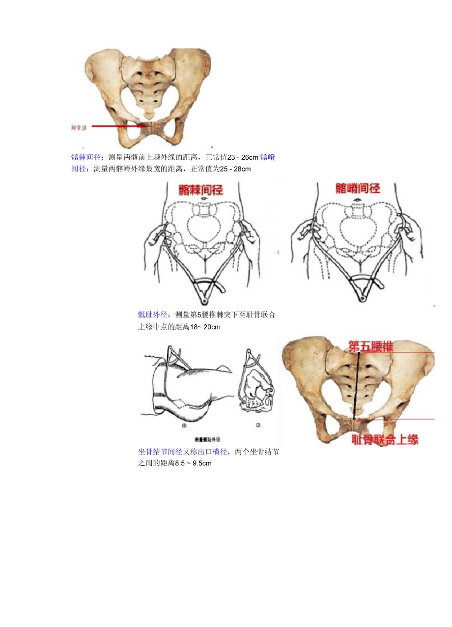 骨盆测量记忆口诀_第2页