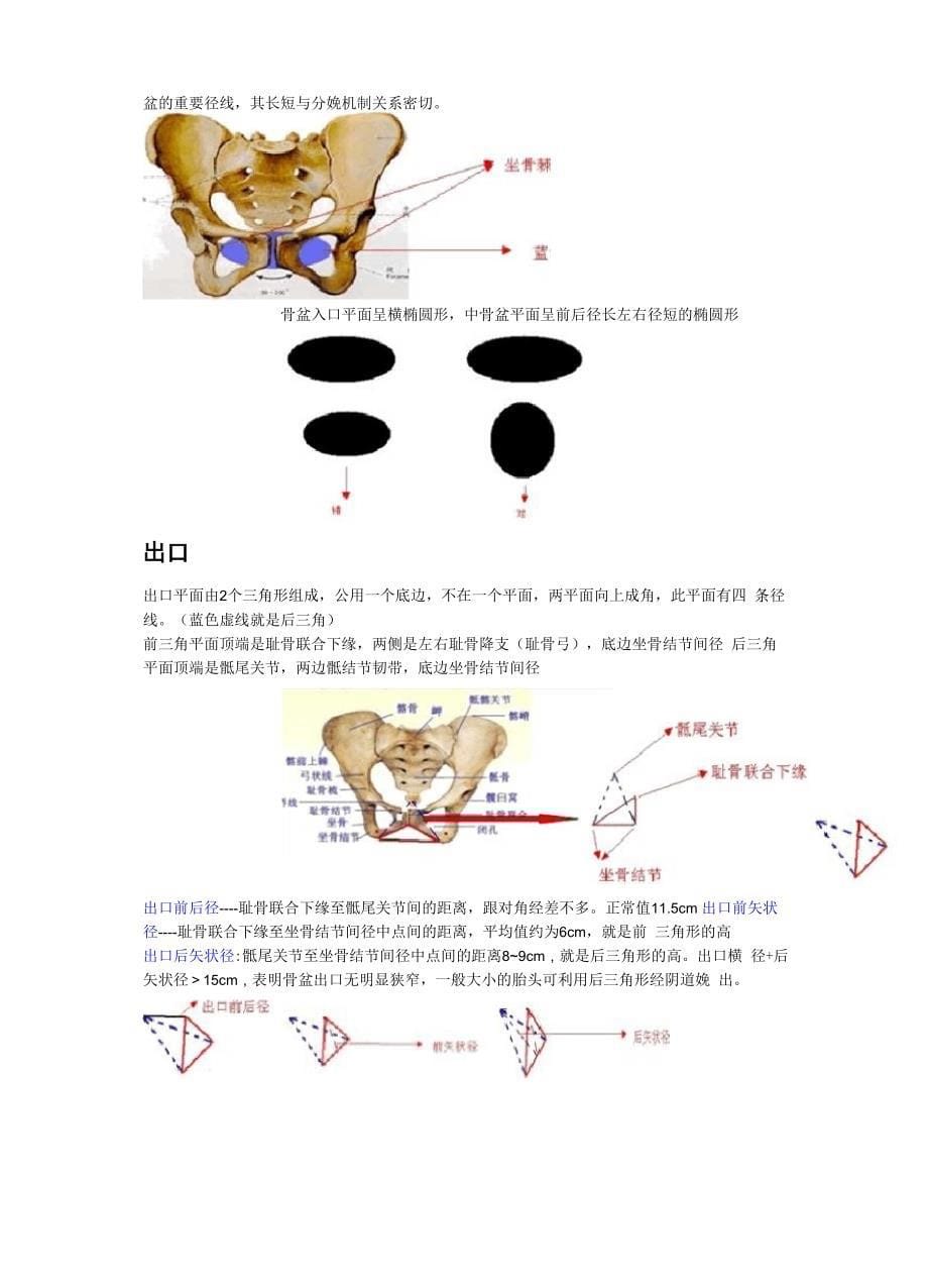 骨盆测量记忆口诀_第5页