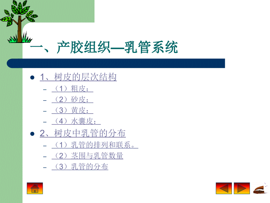 产胶和排胶的基础理论_第2页