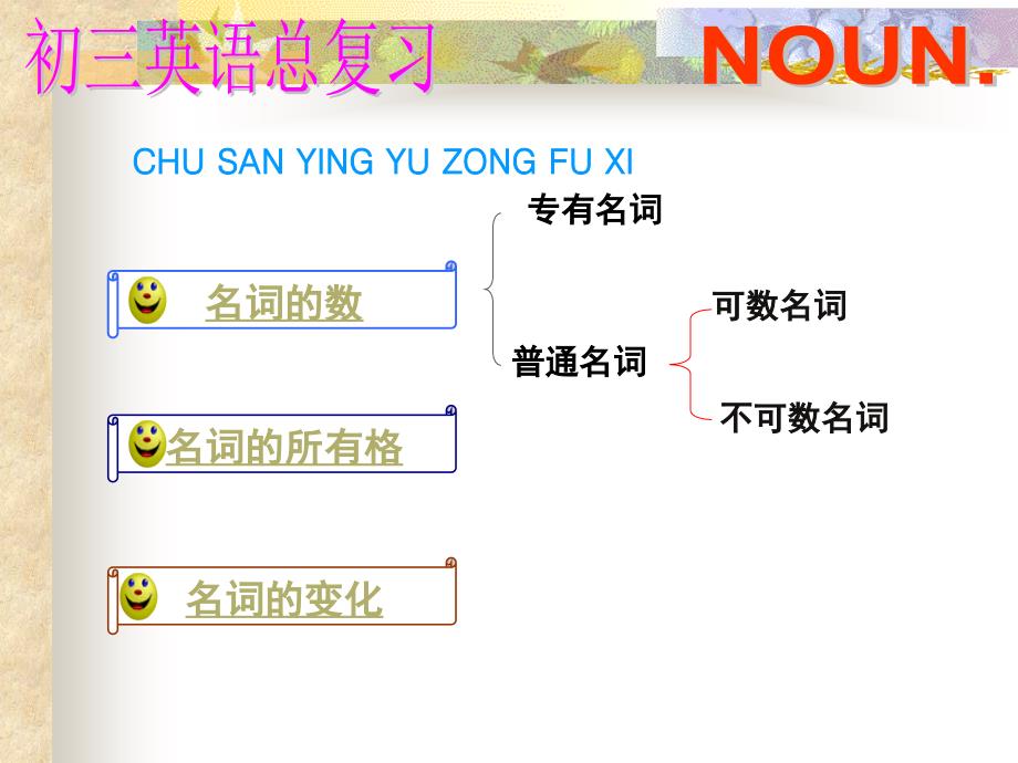 初中语法精讲名词_第3页