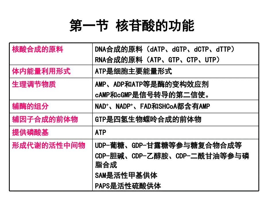 生物化学核苷酸代谢_第2页