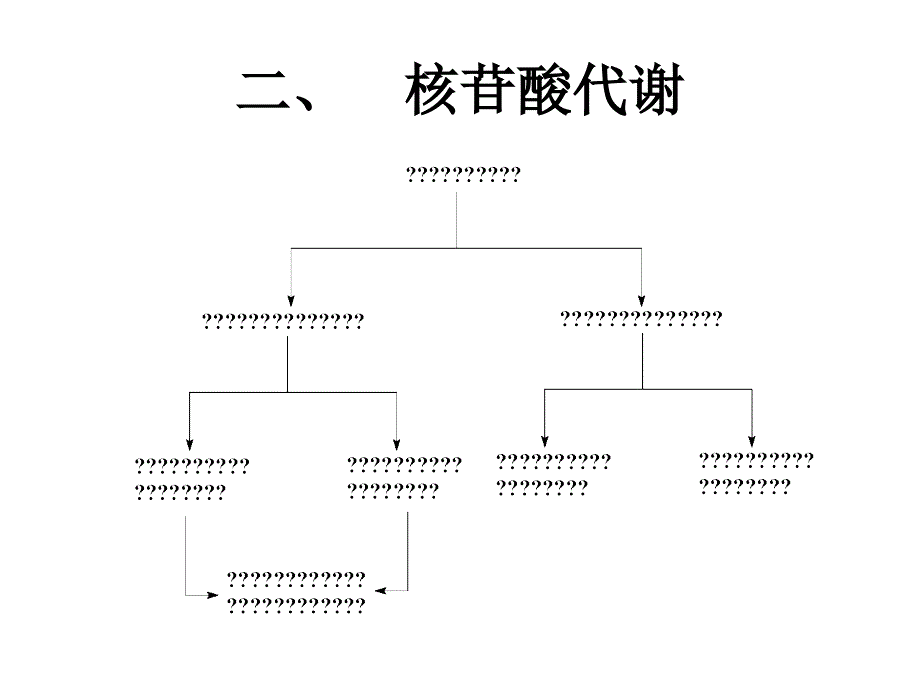 生物化学核苷酸代谢_第4页