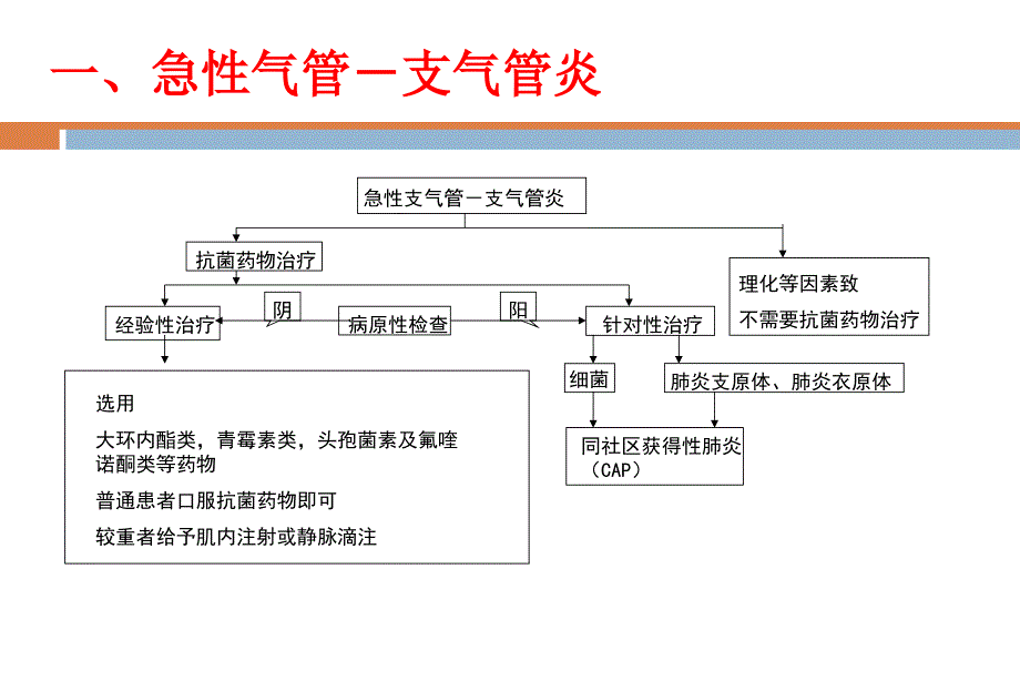 呼吸系统常见疾病抗菌药物合理使用_第4页