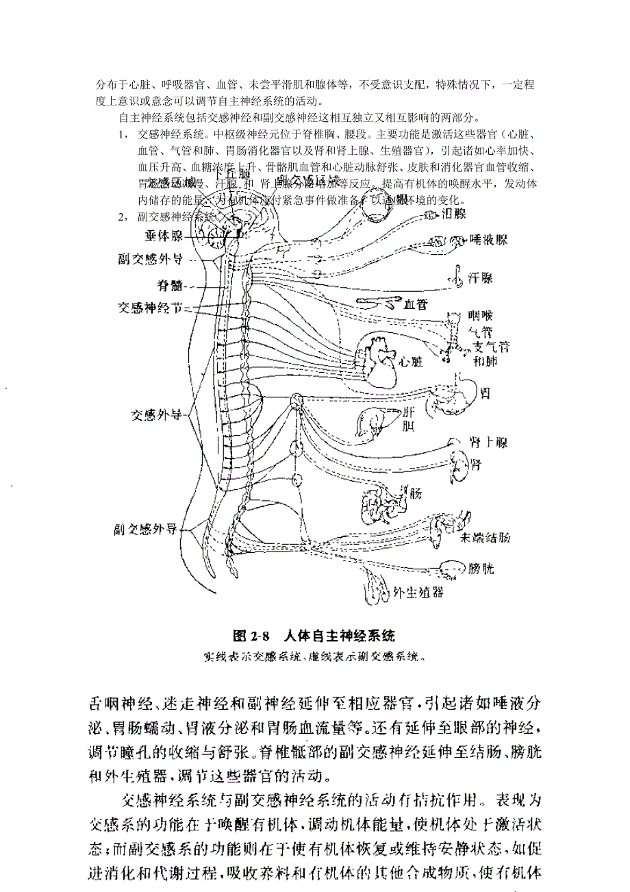 自学心理学笔记.doc_第4页