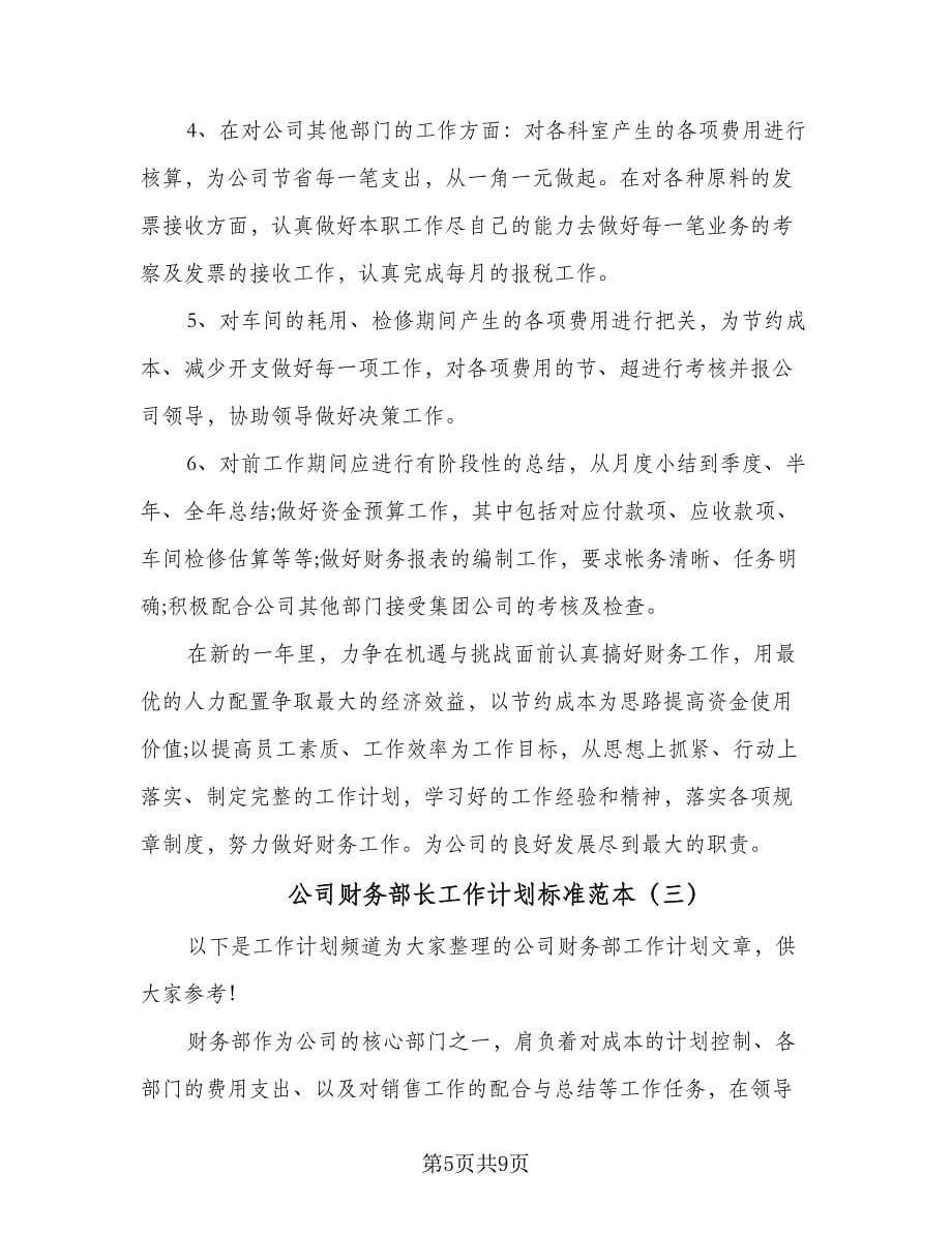 公司财务部长工作计划标准范本（三篇）.doc_第5页