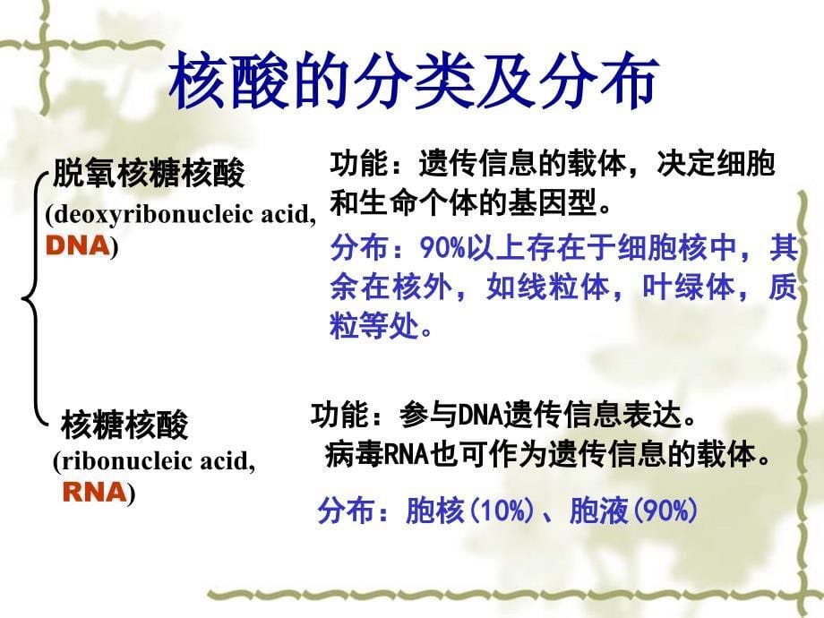 第7章核酸化学_第5页