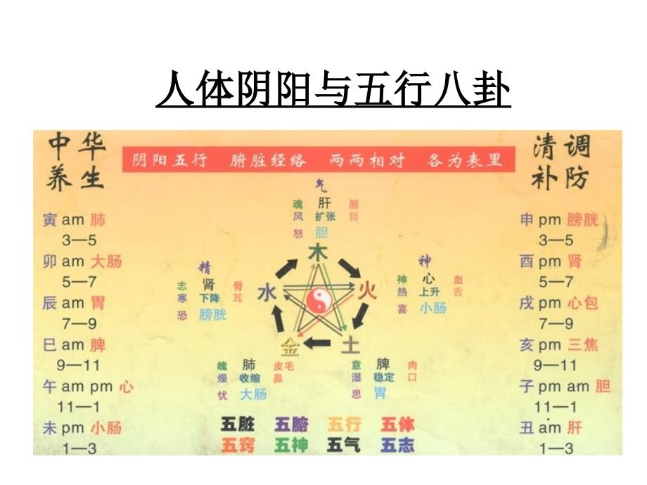 人体阴阳与五行八卦ppt课件_第1页