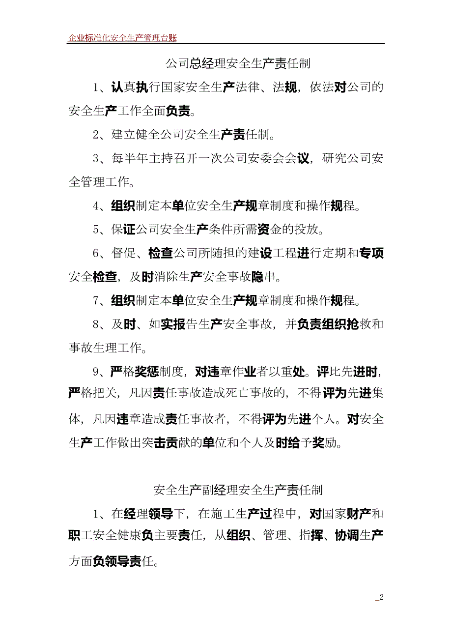 企业法人安全生产责任制_第2页