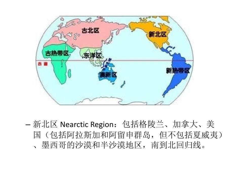 世界陆地动物地理区域和昆虫的分布课件_第5页