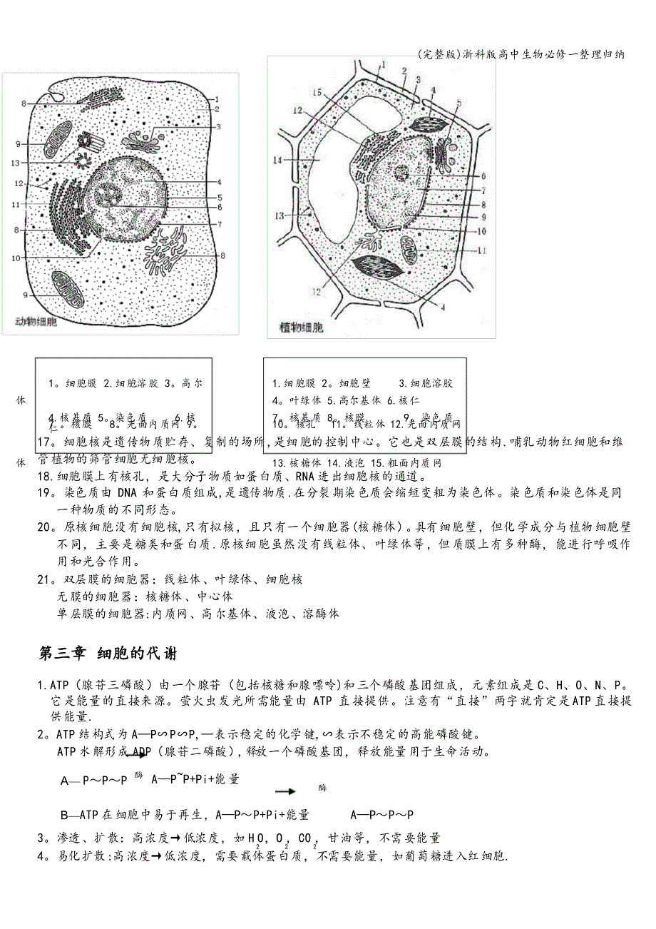 浙科版高中生物必修一整理归纳_第4页