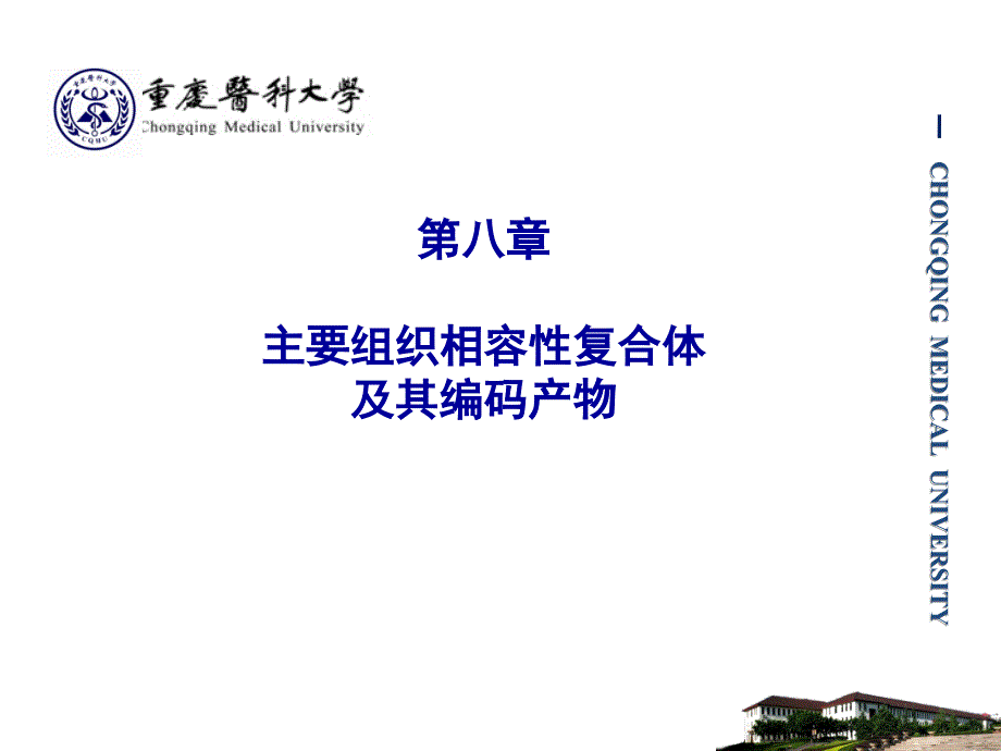 主要组织相容性复合体及其编码产物概述_第1页