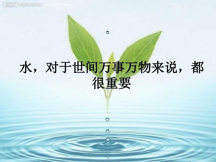 生命与水课件22_第5页