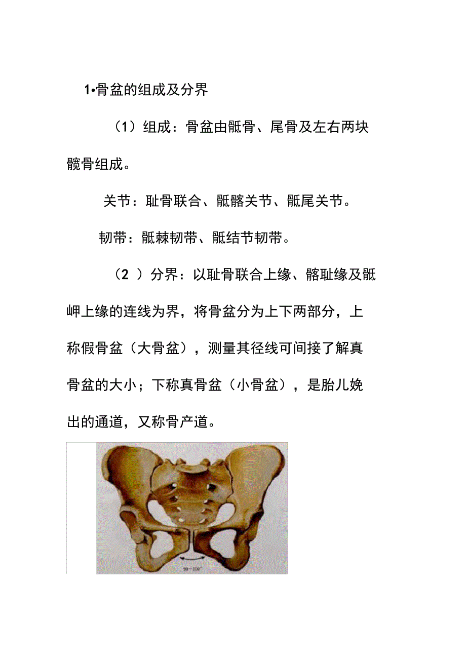 骨盆的组成及分界_第1页