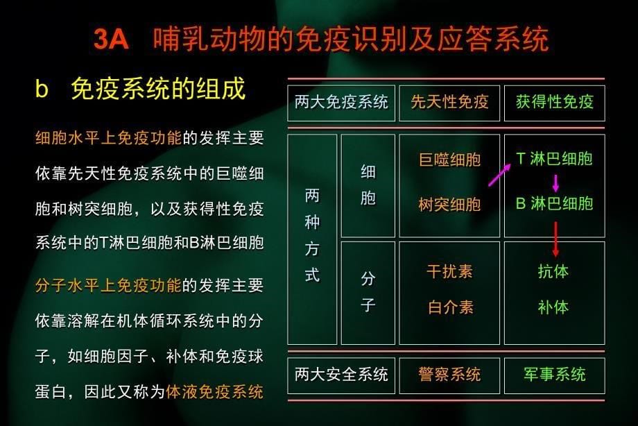 过程分子生物学(3 2012)_第5页