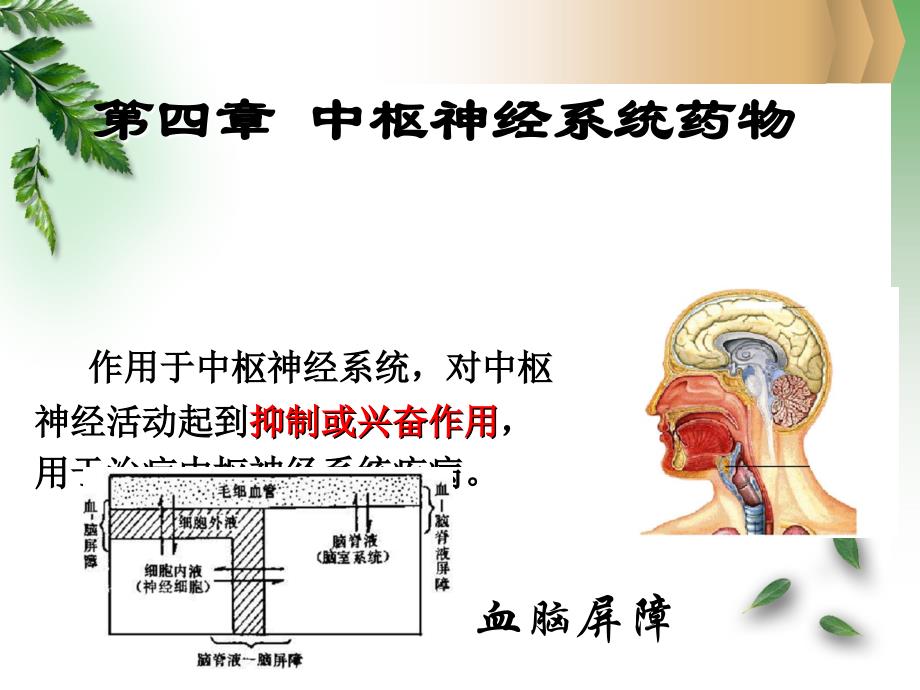 镇静催眠药-护理药物学_第2页