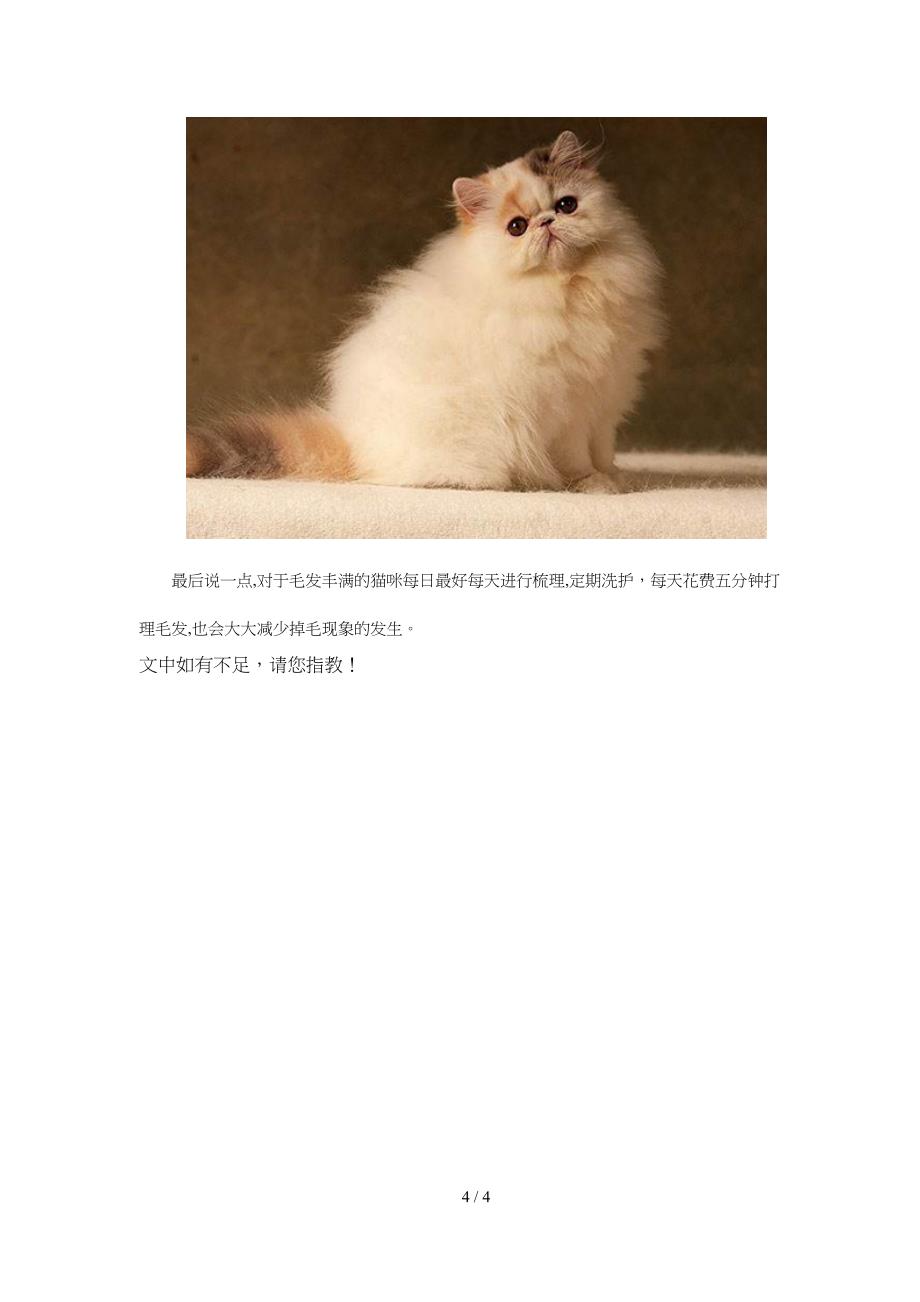 猫咪脱毛严重怎么办猫咪脱毛原因是什么_第4页