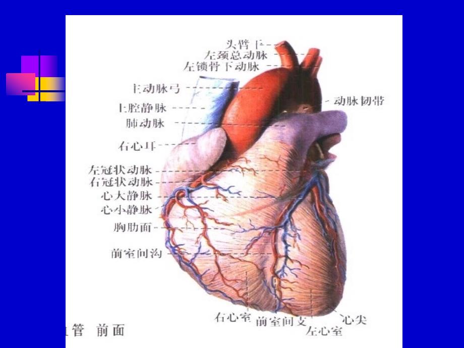 冠心病防治知识讲座课件_第4页