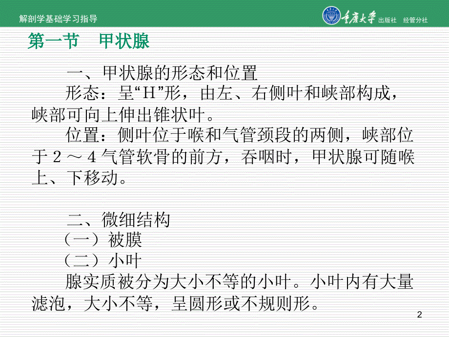 解剖学课件：内分泌系统.ppt_第2页