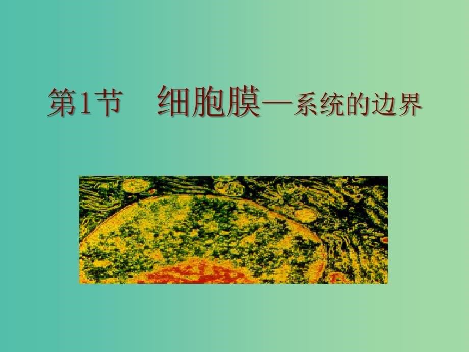 2019高中生物 专题3.1 细胞膜──系统的边界同步课件 新人教版必修1.ppt_第5页