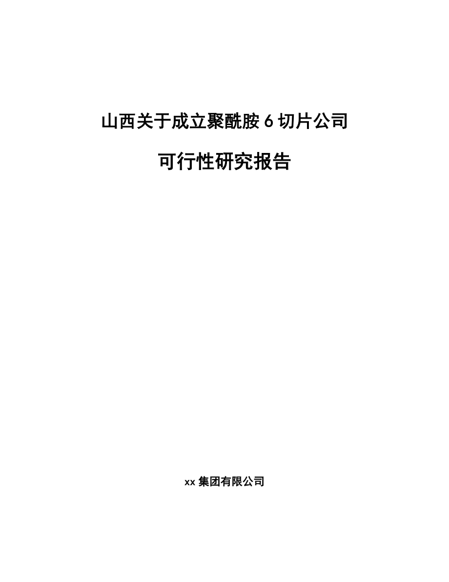 山西关于成立聚酰胺6切片公司可行性研究报告_第1页