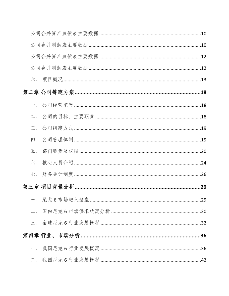 山西关于成立聚酰胺6切片公司可行性研究报告_第4页