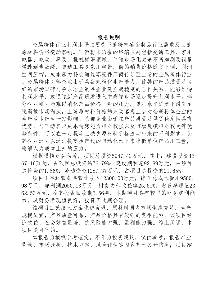 西安高性能纯铁粉项目可行性研究报告(DOC 91页)_第2页