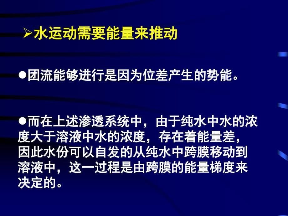 第四章植物的物质与能量代谢_第5页