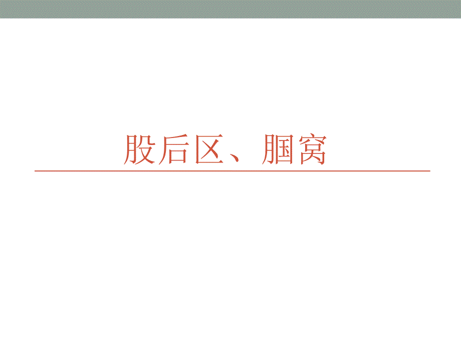 医学局部解剖学-股后区、腘窝_第1页
