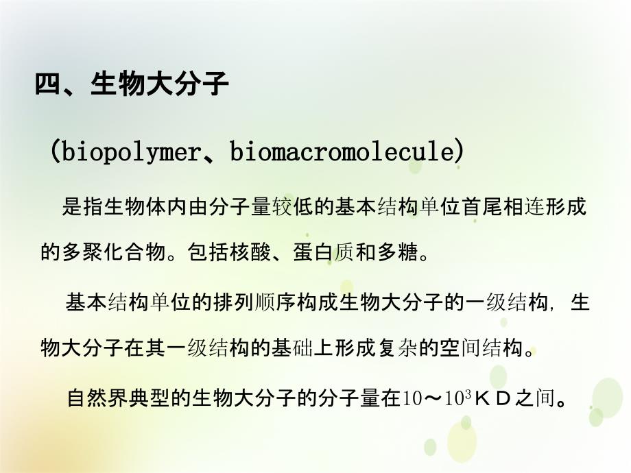 生物材料课件3生物大分子核酸_第4页