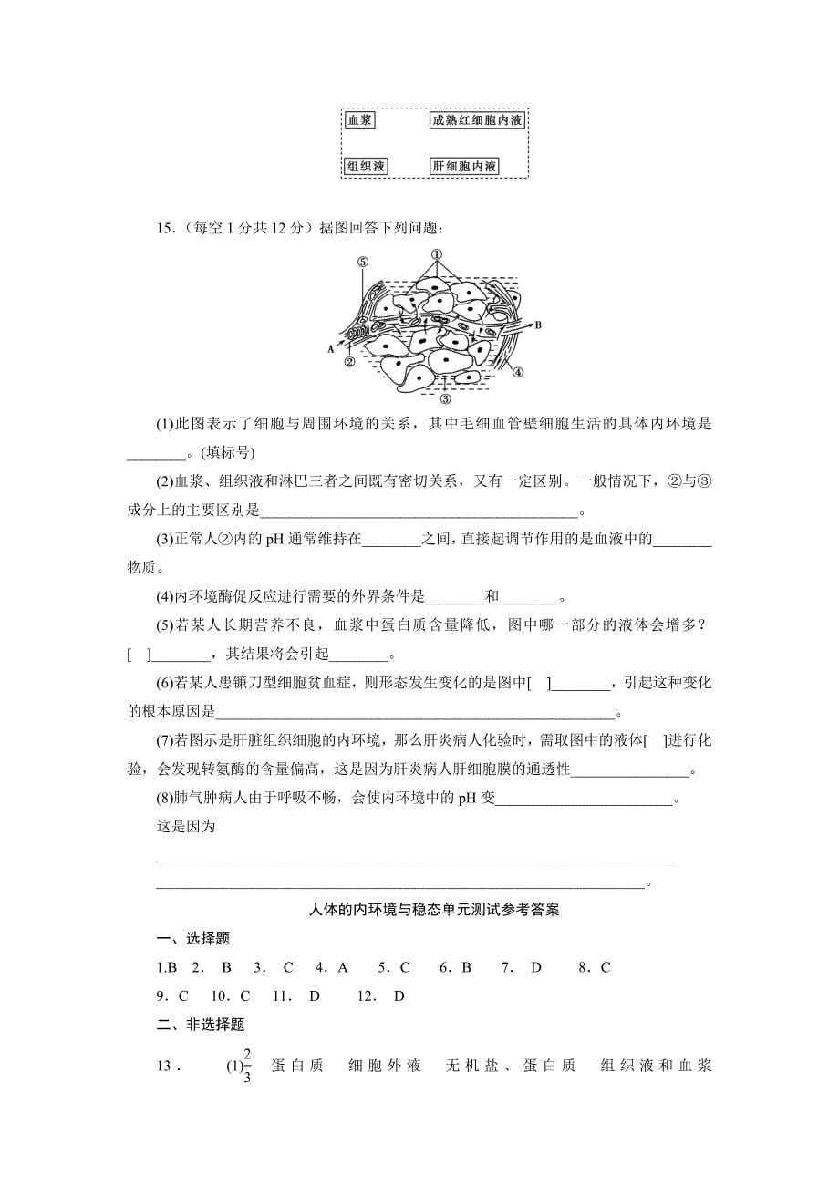 第一章人体内环境与稳态知识框架及单元测试卷.docx_第5页