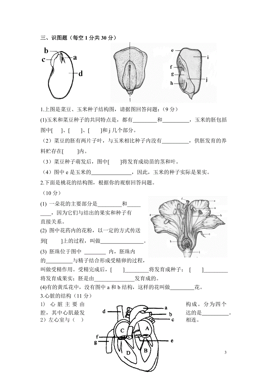 七下初一中期试卷.doc_第3页