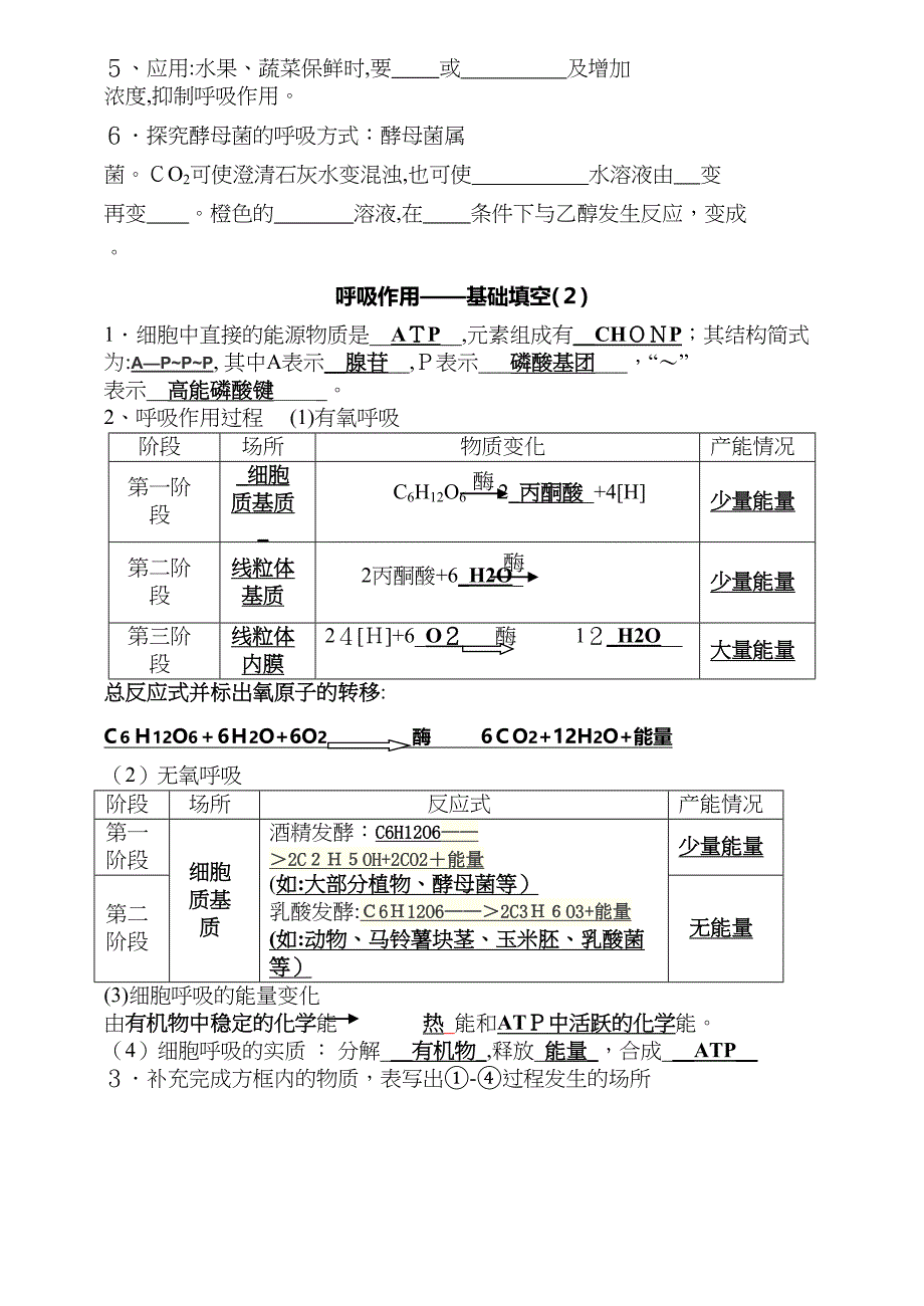 呼吸基础知识填空_第2页