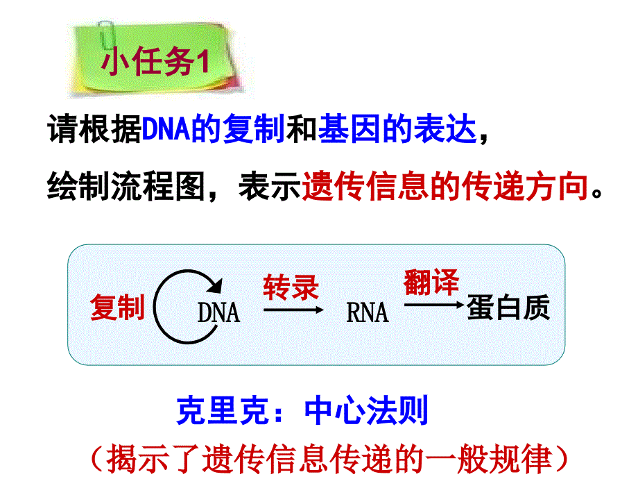 基因对性状的控制-(获奖课件)_第2页