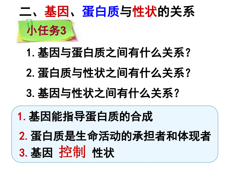 基因对性状的控制-(获奖课件)_第4页