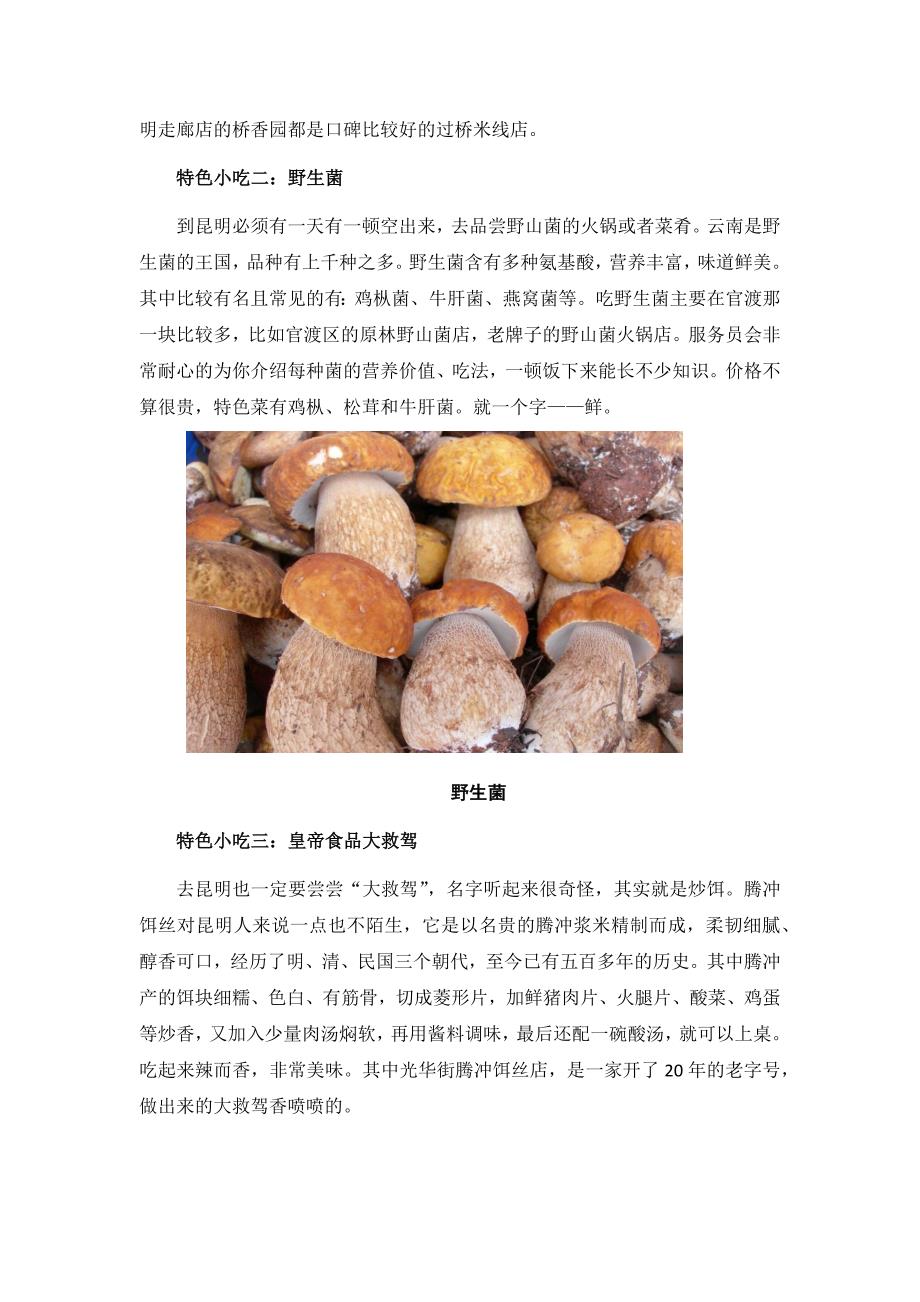 昆明不可错过的十大特色小吃.docx_第3页