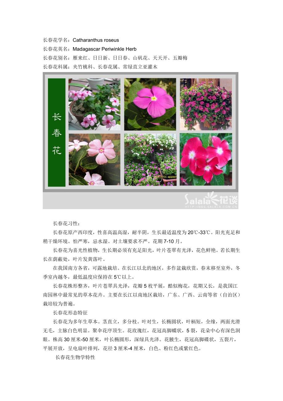 家庭常见花卉栽培与欣赏(七).doc_第1页