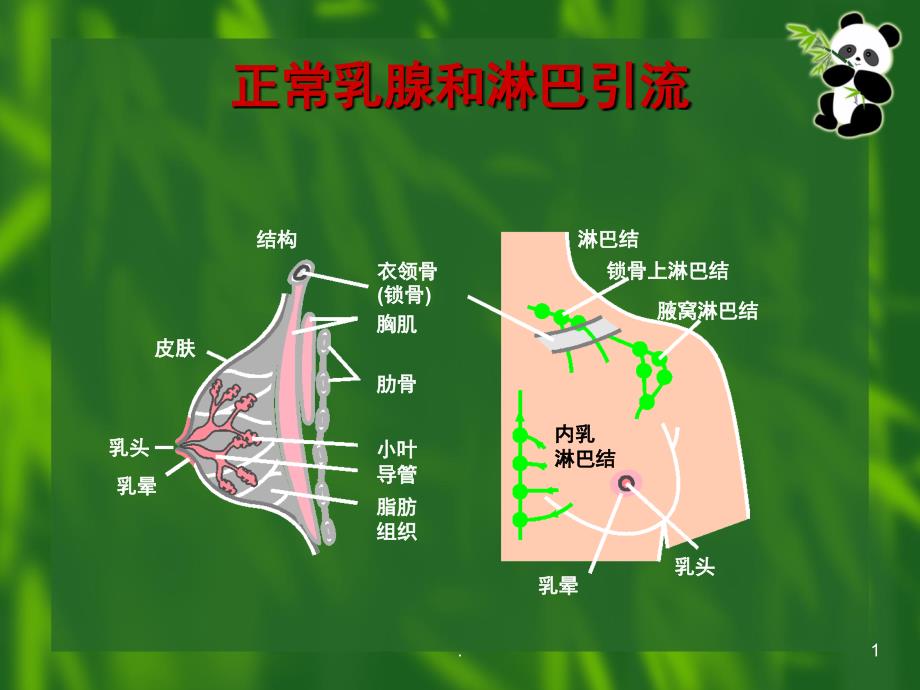 乳腺癌TNM分期课堂PPT_第1页